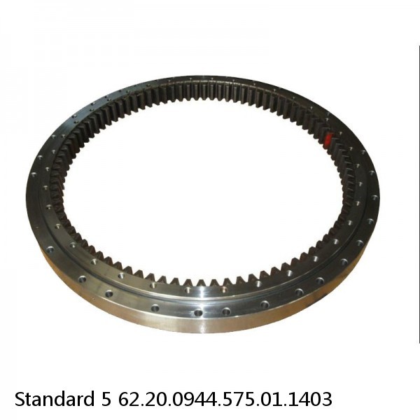 62.20.0944.575.01.1403 Standard 5 Slewing Ring Bearings