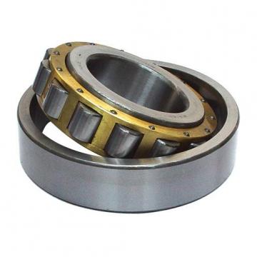 FAG NU2313-E-JP1 Cylindrical Roller Bearings