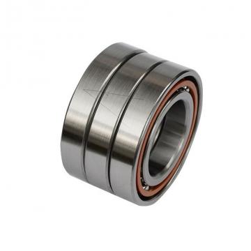 FAG 6002-2RSD-L091T Single Row Ball Bearings