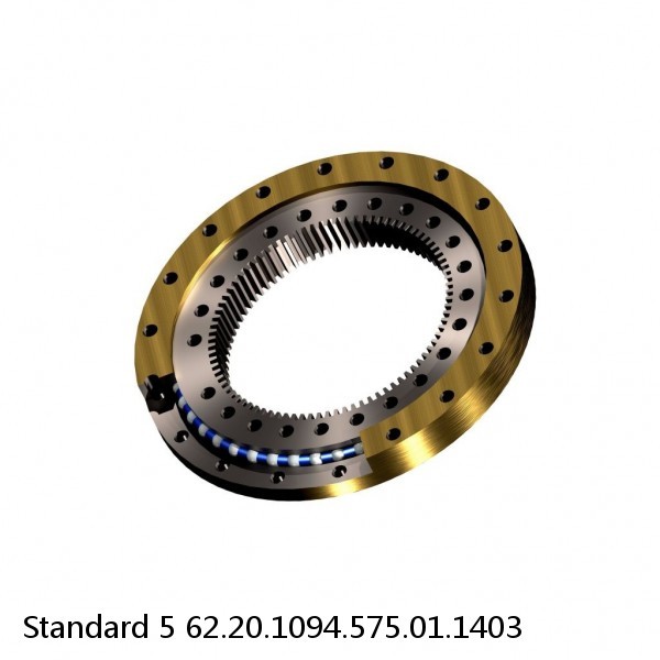 62.20.1094.575.01.1403 Standard 5 Slewing Ring Bearings