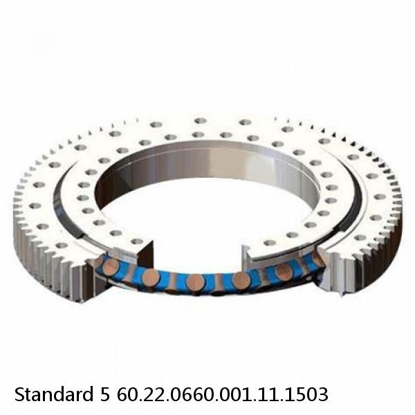 60.22.0660.001.11.1503 Standard 5 Slewing Ring Bearings