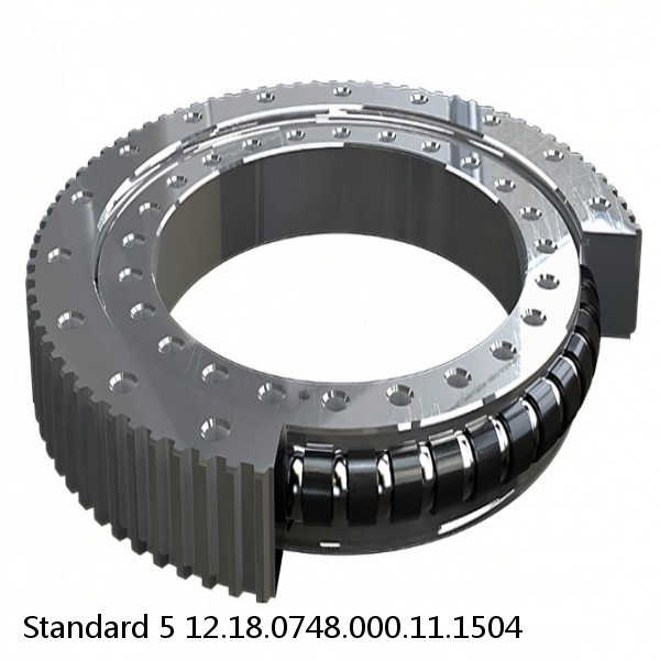 12.18.0748.000.11.1504 Standard 5 Slewing Ring Bearings