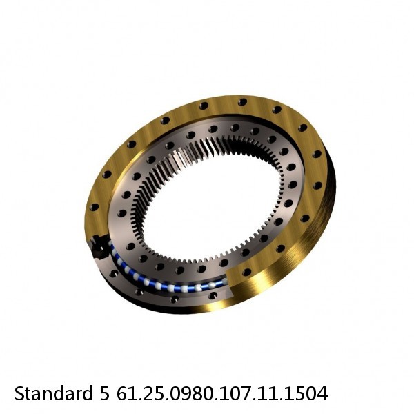 61.25.0980.107.11.1504 Standard 5 Slewing Ring Bearings