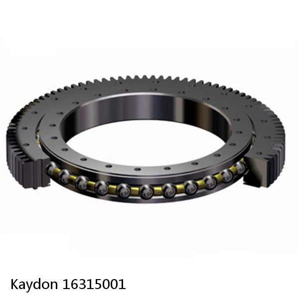 16315001 Kaydon Slewing Ring Bearings