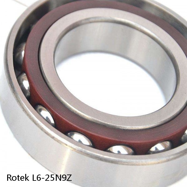 L6-25N9Z Rotek Slewing Ring Bearings