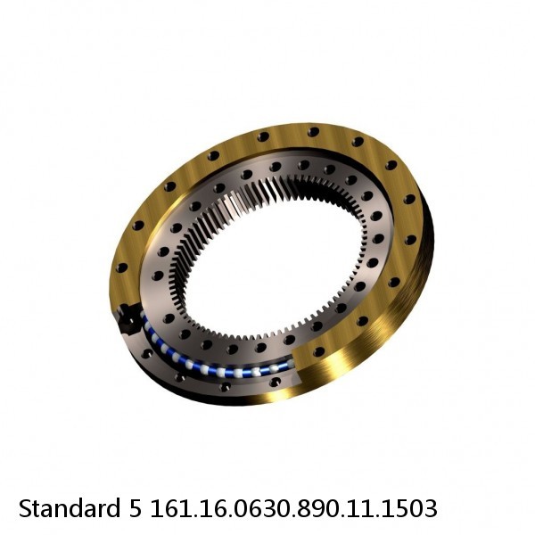 161.16.0630.890.11.1503 Standard 5 Slewing Ring Bearings