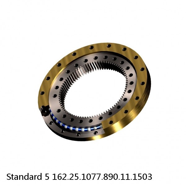 162.25.1077.890.11.1503 Standard 5 Slewing Ring Bearings