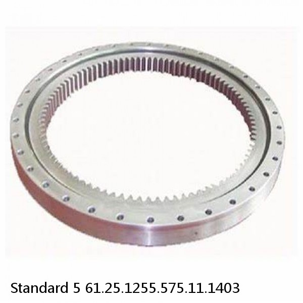 61.25.1255.575.11.1403 Standard 5 Slewing Ring Bearings