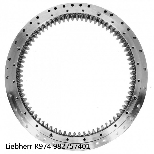 982757401 Liebherr R974 Slewing Ring