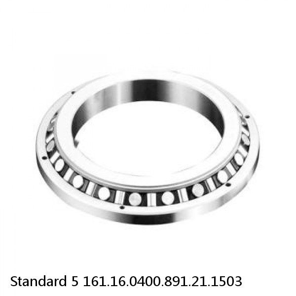 161.16.0400.891.21.1503 Standard 5 Slewing Ring Bearings