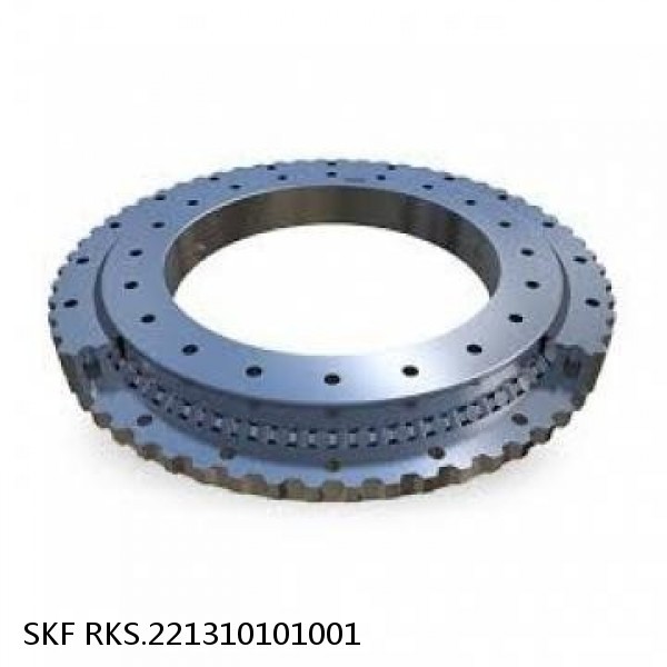 RKS.221310101001 SKF Slewing Ring Bearings