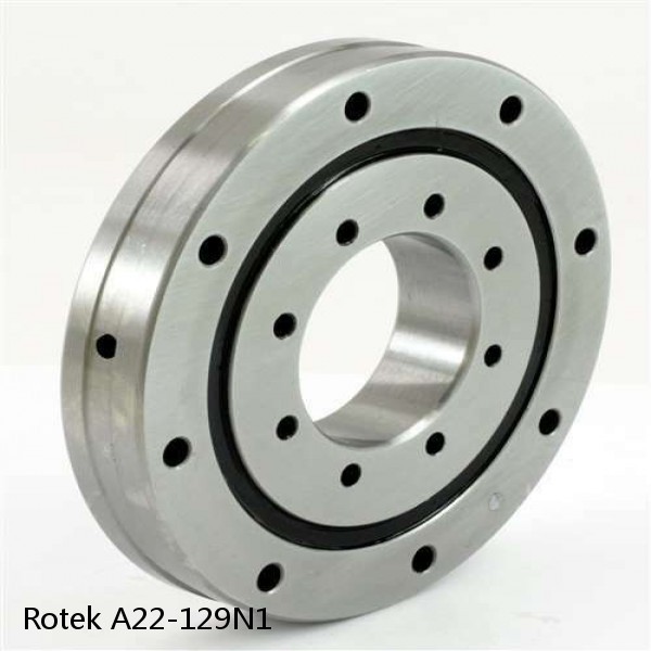 A22-129N1 Rotek Slewing Ring Bearings