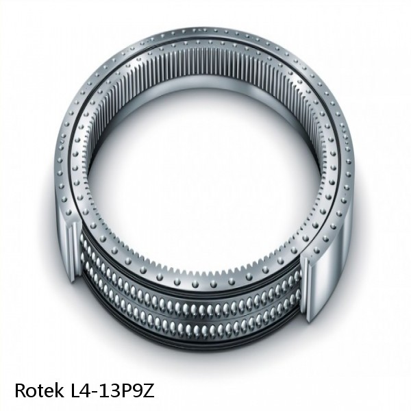 L4-13P9Z Rotek Slewing Ring Bearings