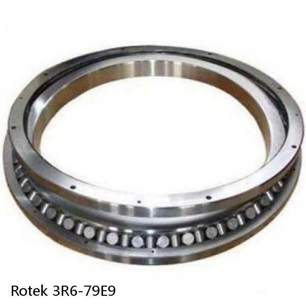 3R6-79E9 Rotek Slewing Ring Bearings