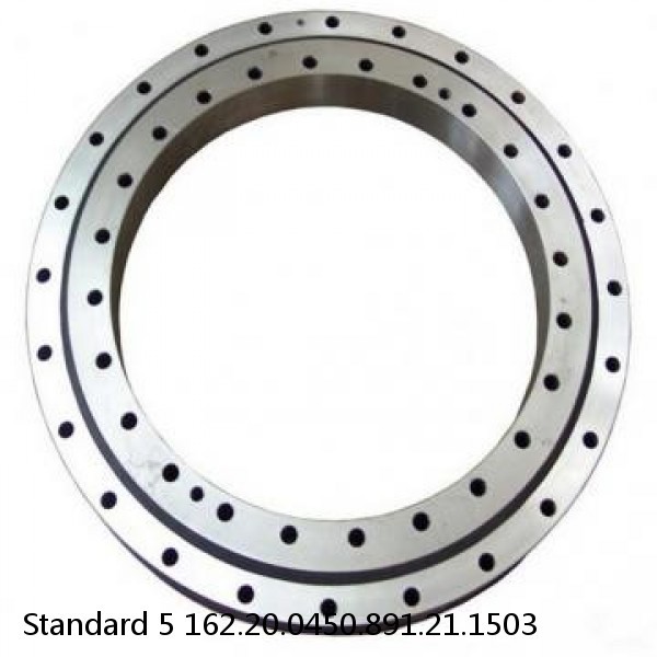 162.20.0450.891.21.1503 Standard 5 Slewing Ring Bearings