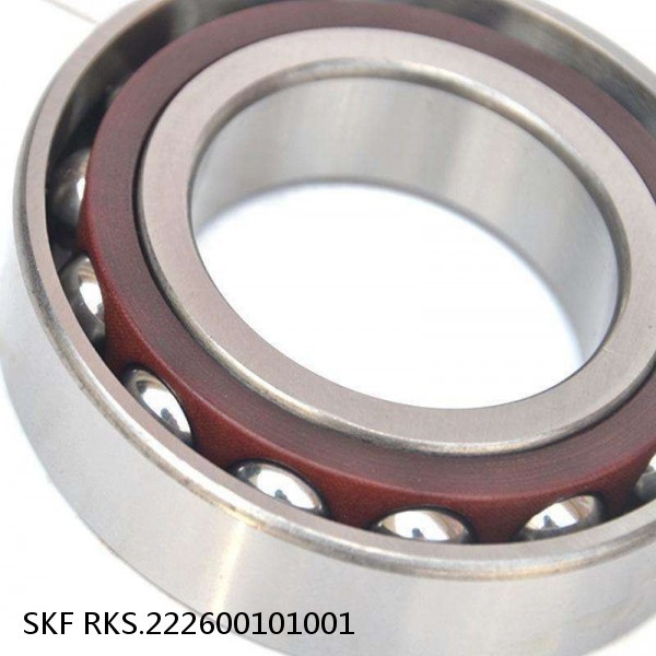 RKS.222600101001 SKF Slewing Ring Bearings