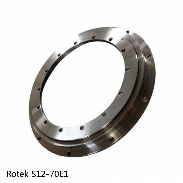 S12-70E1 Rotek Slewing Ring Bearings