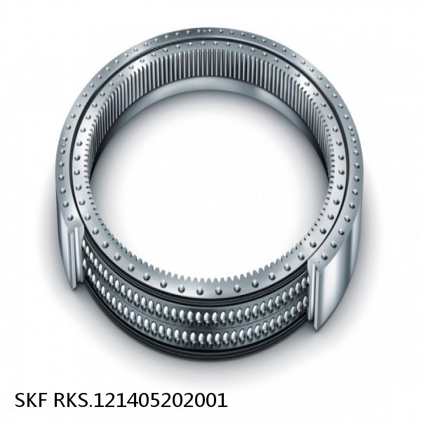 RKS.121405202001 SKF Slewing Ring Bearings