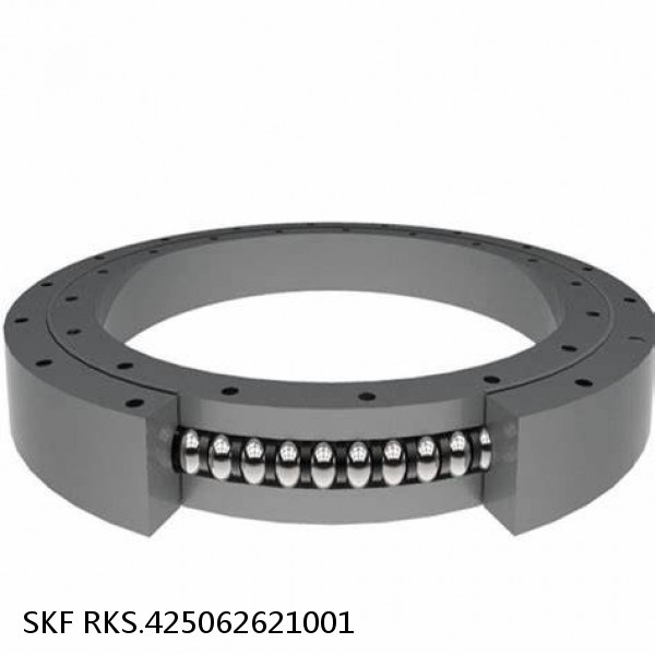 RKS.425062621001 SKF Slewing Ring Bearings