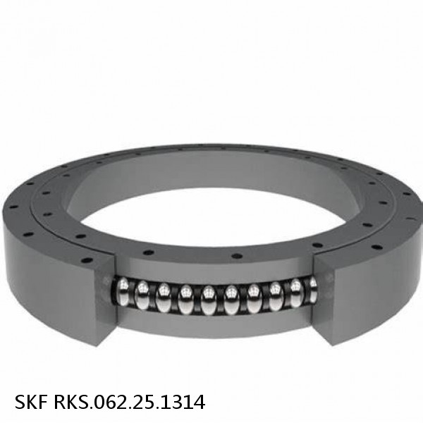 RKS.062.25.1314 SKF Slewing Ring Bearings