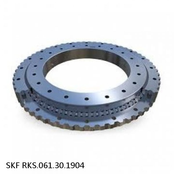 RKS.061.30.1904 SKF Slewing Ring Bearings