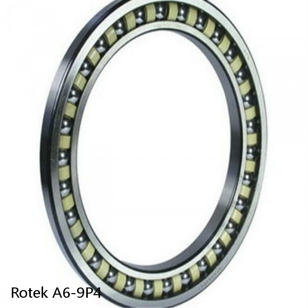 A6-9P4 Rotek Slewing Ring Bearings