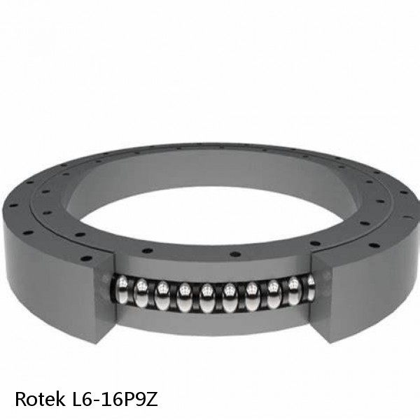 L6-16P9Z Rotek Slewing Ring Bearings