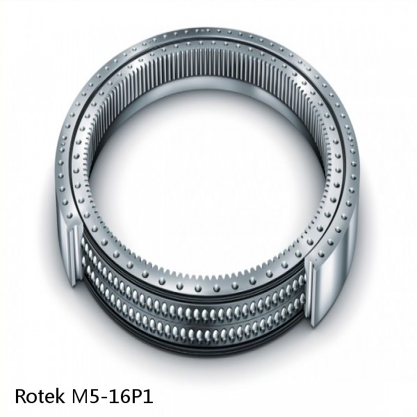 M5-16P1 Rotek Slewing Ring Bearings