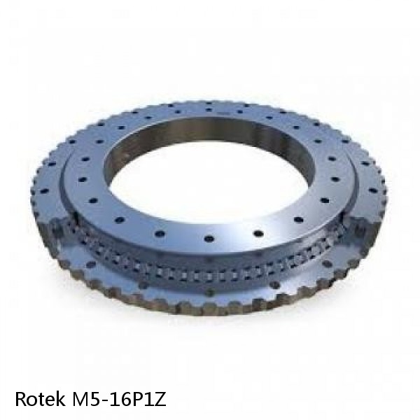 M5-16P1Z Rotek Slewing Ring Bearings