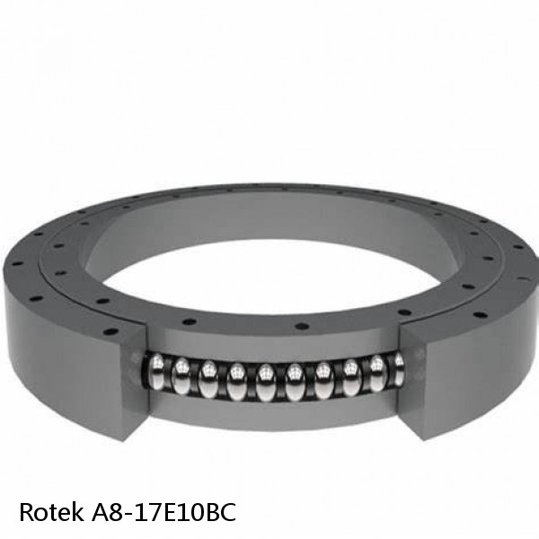 A8-17E10BC Rotek Slewing Ring Bearings