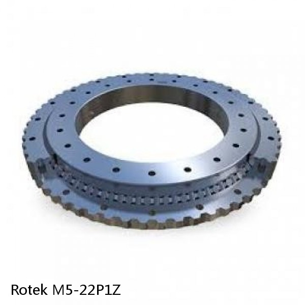 M5-22P1Z Rotek Slewing Ring Bearings