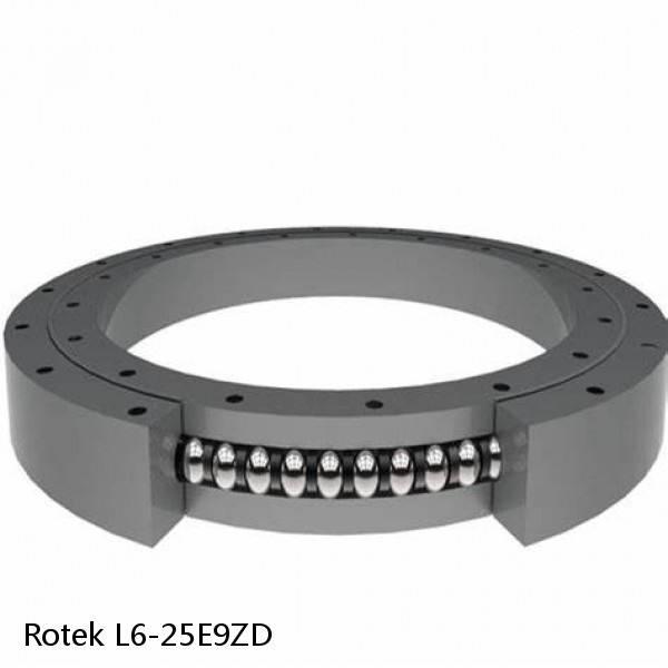 L6-25E9ZD Rotek Slewing Ring Bearings