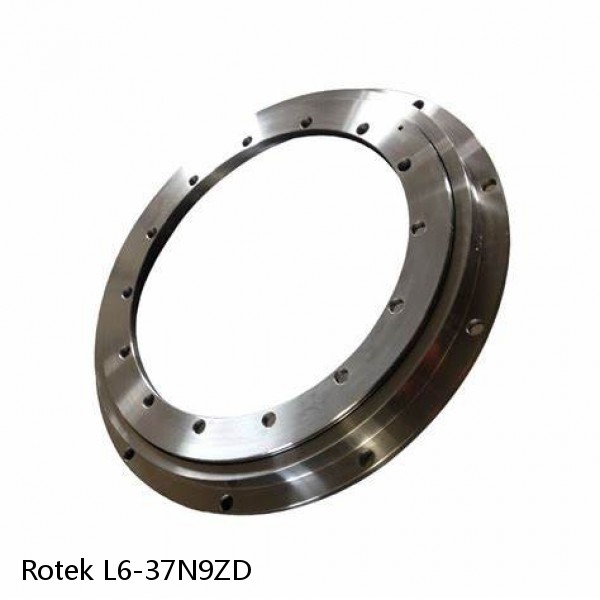 L6-37N9ZD Rotek Slewing Ring Bearings