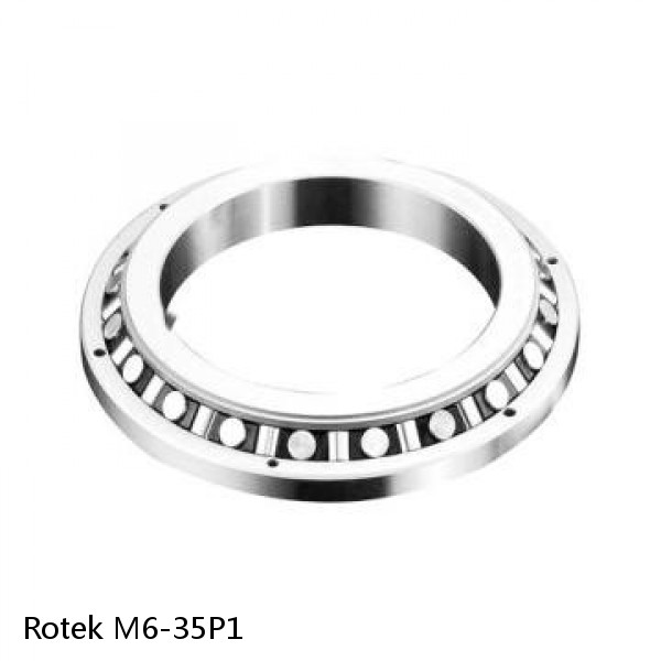 M6-35P1 Rotek Slewing Ring Bearings