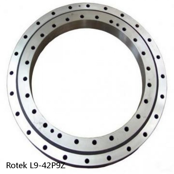 L9-42P9Z Rotek Slewing Ring Bearings