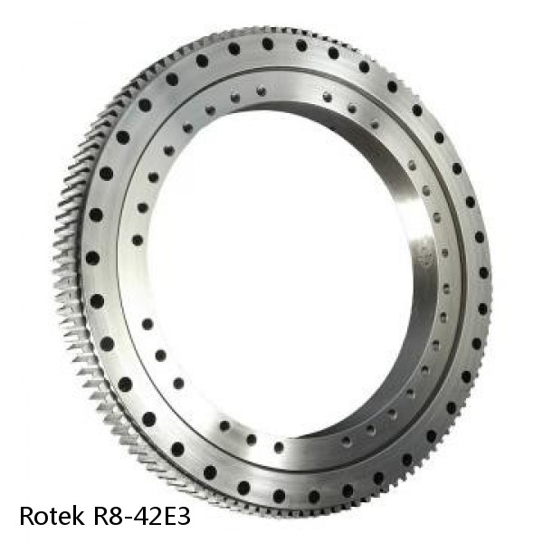 R8-42E3 Rotek Slewing Ring Bearings