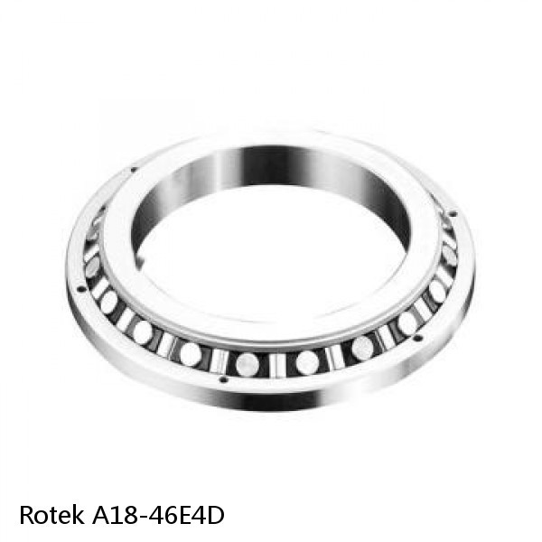 A18-46E4D Rotek Slewing Ring Bearings