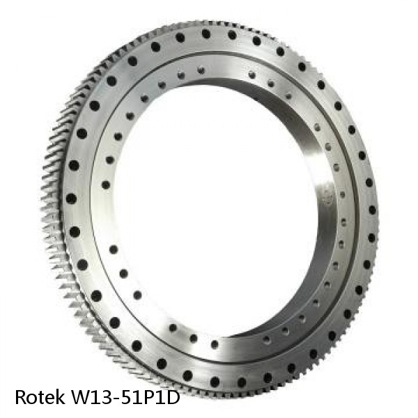 W13-51P1D Rotek Slewing Ring Bearings