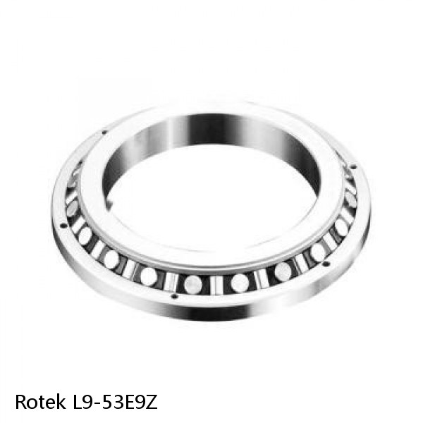 L9-53E9Z Rotek Slewing Ring Bearings