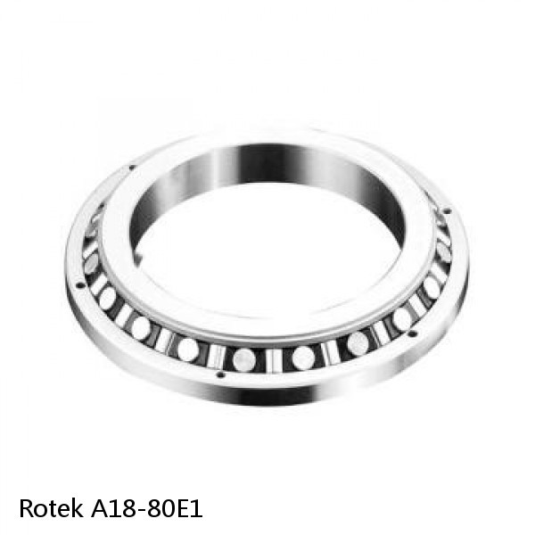 A18-80E1 Rotek Slewing Ring Bearings