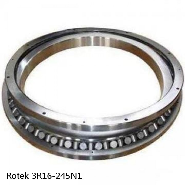 3R16-245N1 Rotek Slewing Ring Bearings