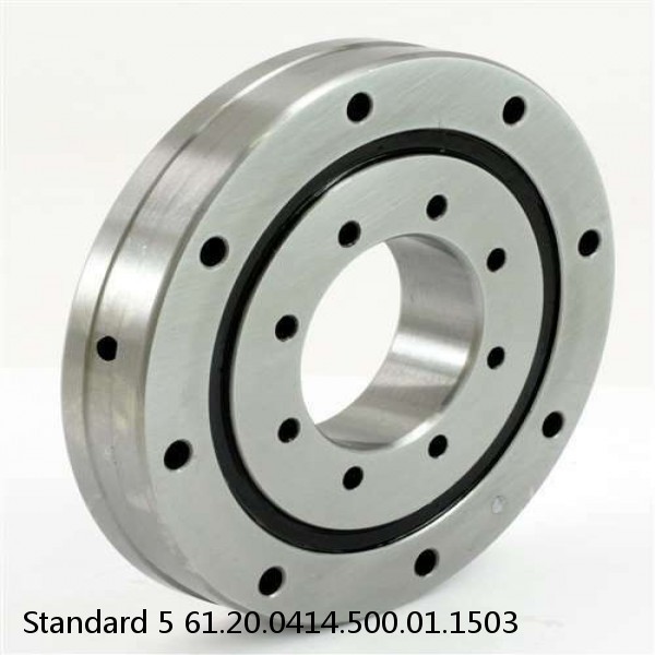 61.20.0414.500.01.1503 Standard 5 Slewing Ring Bearings