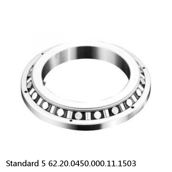 62.20.0450.000.11.1503 Standard 5 Slewing Ring Bearings