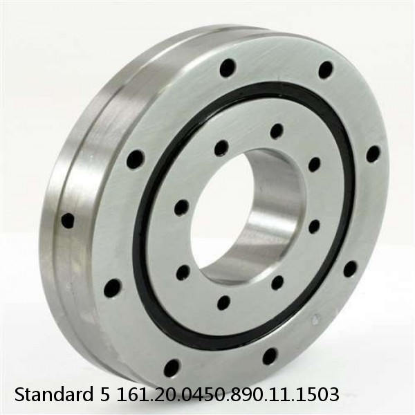 161.20.0450.890.11.1503 Standard 5 Slewing Ring Bearings