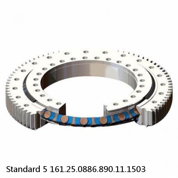 161.25.0886.890.11.1503 Standard 5 Slewing Ring Bearings