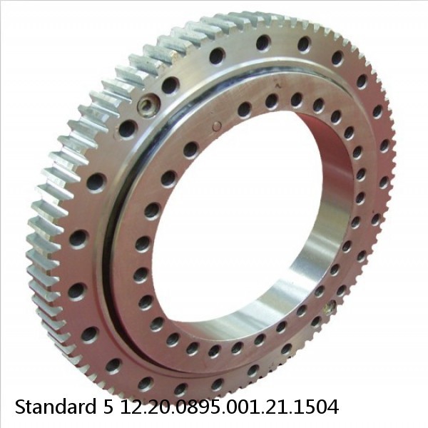 12.20.0895.001.21.1504 Standard 5 Slewing Ring Bearings