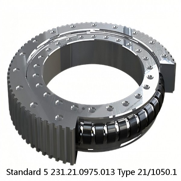 231.21.0975.013 Type 21/1050.1 Standard 5 Slewing Ring Bearings