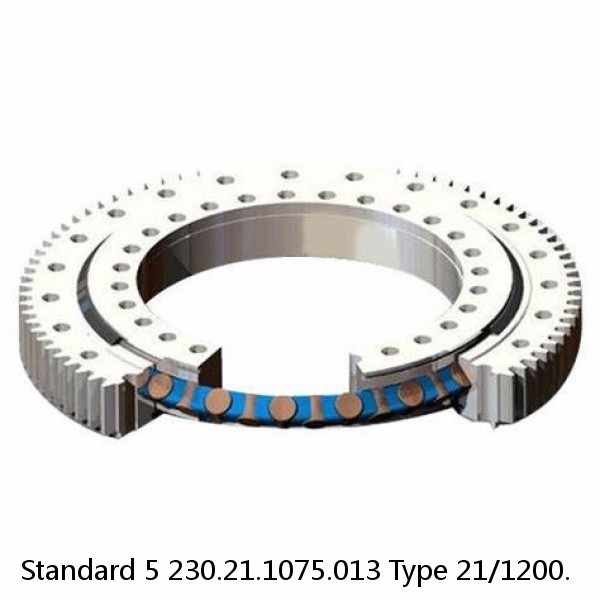 230.21.1075.013 Type 21/1200. Standard 5 Slewing Ring Bearings