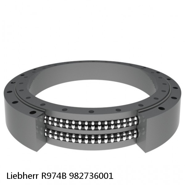 982736001 Liebherr R974B Slewing Ring