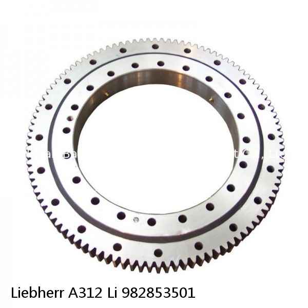 982853501 Liebherr A312 Li Slewing Ring